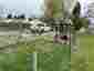 Pocatello Real Estate - MLS #579094 - Photograph #37