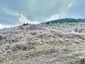 Pocatello Real Estate - MLS #579102 - Photograph #2
