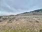 Pocatello Real Estate - MLS #579108 - Photograph #2
