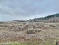 Pocatello Real Estate - MLS #579113 - Photograph #2
