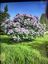 Pocatello Real Estate - MLS #579172 - Photograph #43