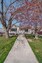 Pocatello Real Estate - MLS #579200 - Photograph #2