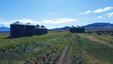 Pocatello Real Estate - MLS #579207 - Photograph #6