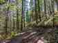 Pocatello Real Estate - MLS #579211 - Photograph #3