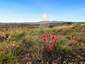 Pocatello Real Estate - MLS #579215 - Photograph #28