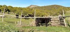 Pocatello Real Estate - MLS #579215 - Photograph #11