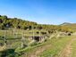 Pocatello Real Estate - MLS #579215 - Photograph #12
