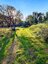 Pocatello Real Estate - MLS #579215 - Photograph #14