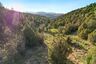 Pocatello Real Estate - MLS #579215 - Photograph #16
