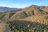 Pocatello Real Estate - MLS #579215 - Photograph #19