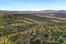 Pocatello Real Estate - MLS #579215 - Photograph #25