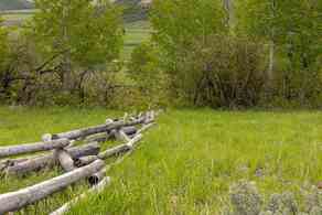 Freedom Idaho Real Estate