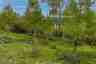 Pocatello Real Estate - MLS #579439 - Photograph #8
