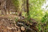 Pocatello Real Estate - MLS #579449 - Photograph #48