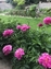 Pocatello Real Estate - MLS #579456 - Photograph #45