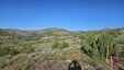 Pocatello Real Estate - MLS #579458 - Photograph #2