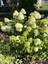 Pocatello Real Estate - MLS #579475 - Photograph #27