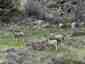 Pocatello Real Estate - MLS #579501 - Photograph #44
