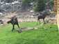 Pocatello Real Estate - MLS #579501 - Photograph #45