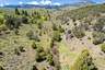 Pocatello Real Estate - MLS #579521 - Photograph #16