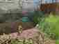 Pocatello Real Estate - MLS #579525 - Photograph #40