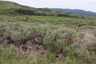 Pocatello Real Estate - MLS #579578 - Photograph #31