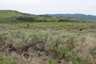 Pocatello Real Estate - MLS #579578 - Photograph #4