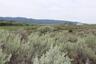 Pocatello Real Estate - MLS #579578 - Photograph #5