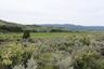 Pocatello Real Estate - MLS #579578 - Photograph #9
