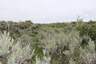 Pocatello Real Estate - MLS #579578 - Photograph #10