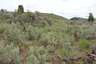 Pocatello Real Estate - MLS #579578 - Photograph #14