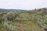 Pocatello Real Estate - MLS #579578 - Photograph #15