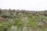 Pocatello Real Estate - MLS #579578 - Photograph #16