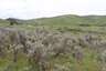 Pocatello Real Estate - MLS #579578 - Photograph #18