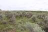 Pocatello Real Estate - MLS #579578 - Photograph #19