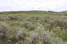 Pocatello Real Estate - MLS #579578 - Photograph #21