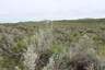 Pocatello Real Estate - MLS #579578 - Photograph #22