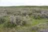 Pocatello Real Estate - MLS #579578 - Photograph #23