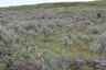 Pocatello Real Estate - MLS #579578 - Photograph #25
