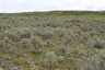 Pocatello Real Estate - MLS #579578 - Photograph #27