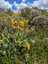 Pocatello Real Estate - MLS #579583 - Photograph #2