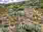 Pocatello Real Estate - MLS #579583 - Photograph #7