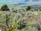 Pocatello Real Estate - MLS #579583 - Photograph #15