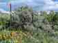 Pocatello Real Estate - MLS #579583 - Photograph #16