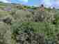 Pocatello Real Estate - MLS #579583 - Photograph #17