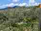 Pocatello Real Estate - MLS #579583 - Photograph #18