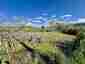 Pocatello Real Estate - MLS #579585 - Photograph #2