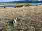 Pocatello Real Estate - MLS #579585 - Photograph #19