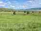 Pocatello Real Estate - MLS #579586 - Photograph #16