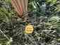 Pocatello Real Estate - MLS #579601 - Photograph #37